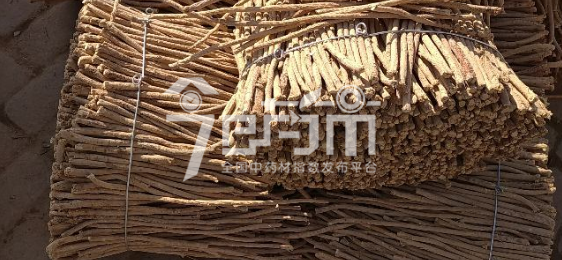 岷县药材市场31.5元/kg成交的黄芪节子