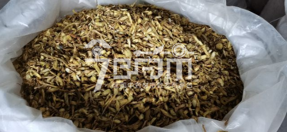 首阳中药材市场21.8元/kg成交的黄芩斜统片