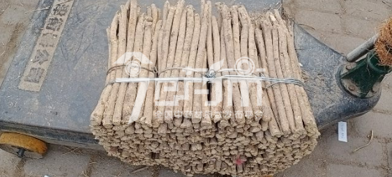 岷县药材市场43元/kg成交的黄芪节子