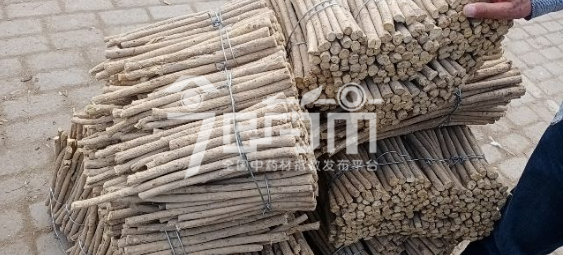 岷县药材市场49元/kg成交的黄芪节子