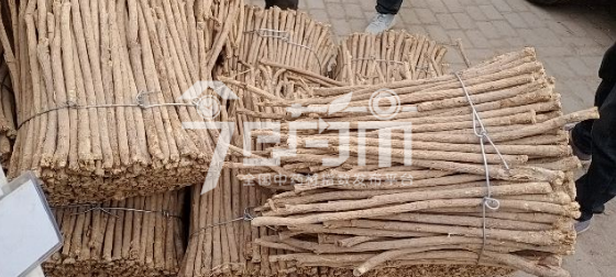 岷县药材市场44元/kg成交的黄芪节子