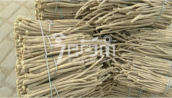 岷县药材市场31元/kg成交的黄芪节子