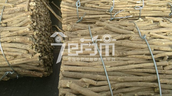 岷县药材市场33元/kg成交的黄芪节子