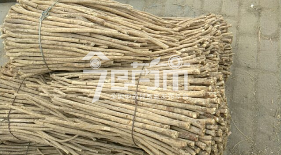 岷县药材市场29元/kg成交的黄芪节子