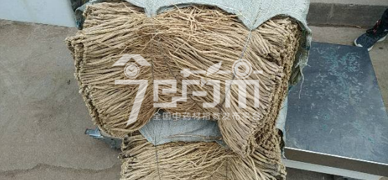渭水源药材市场37元/kg成交的党参小条