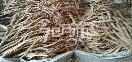 渭水源药材市场36元/kg成交的党参药厂货