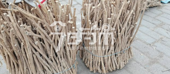 岷县药材市场29元/kg成交的黄芪节子