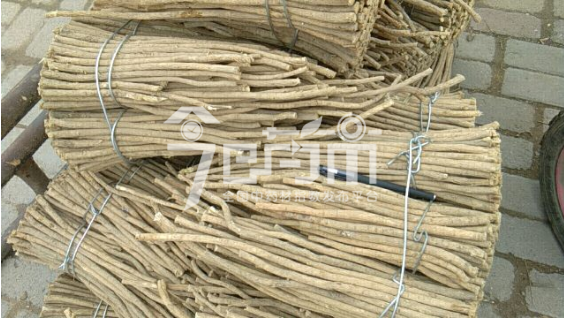 岷县药材市场33元/kg成交的黄芪节子