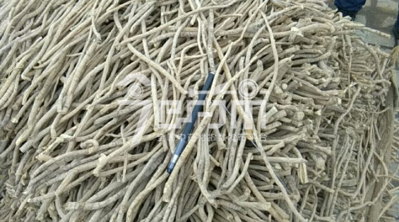 岷县药材市场20元/kg成交的黄芪股子