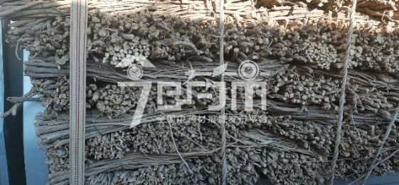 首阳中药材市场15.2元/kg成交黄芪切片货