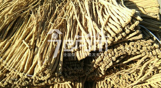 岷县药材市场48.5元/kg成交的党参