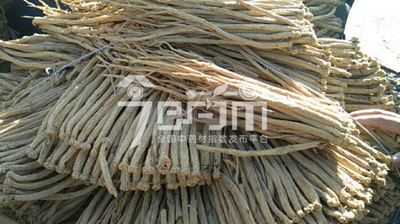 岷县药材市场49元/kg成交的党参