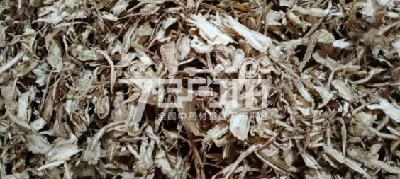岷县药材市场41.5元/kg谈妥验货的当归全归片