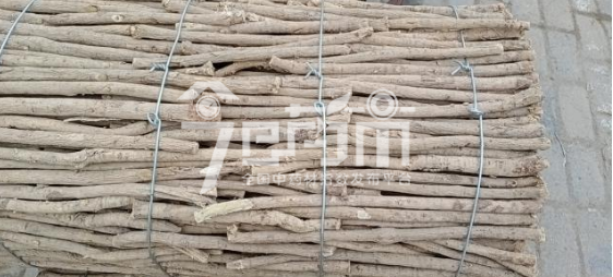 岷县药材市场40元/kg成交的黄芪节子