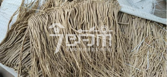 渭水源药材市场49元/kg成交的党参中条