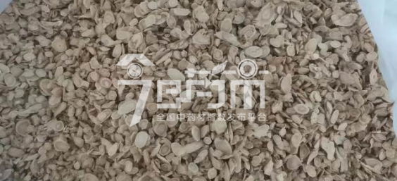 首阳中药材市场19元/kg成交的黄芪瓜子片(过0.3筛)