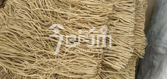 渭水源药材市场43元/kg成交的党参小条药厂货