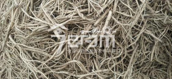 渭水源药材市场12.2元/kg成交的鲜党参