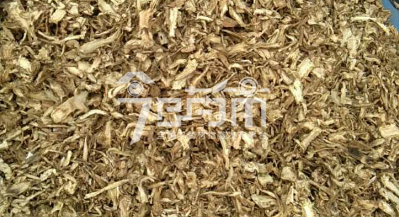 岷县药材市场37元/kg成交的当归全归片 (茬色不好、沫子多)