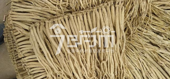 渭水源药材市场54元/kg成交的党参大中条
