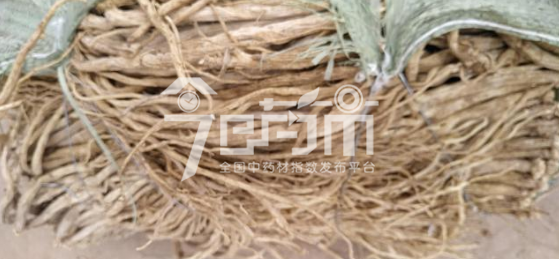 渭水源药材市场45.6元/kg成交的党参(干度不足)