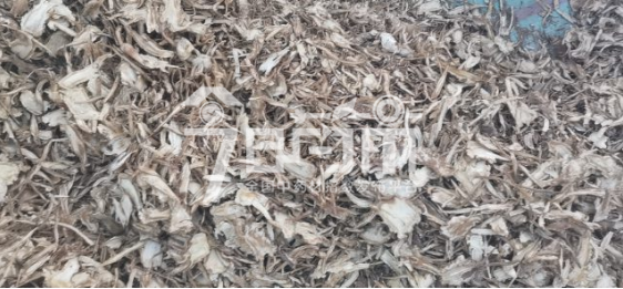 岷县药材市场售价43元/kg，给价42元/kg的当归全归片
