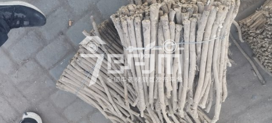 岷县药材市场48元/kg成交的黄芪节子