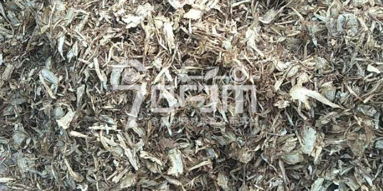 岷县药材市场41.6元/kg谈妥的当归全归片