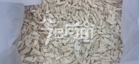 岷县药材市场39.8元/kg成交的黄芪片