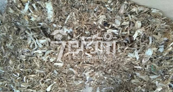 岷县药材市场21元/kg成交的当归烂片