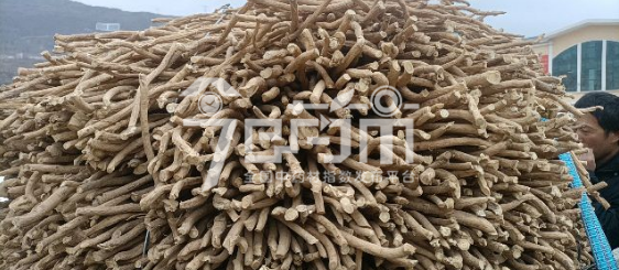 岷县药材市场售价16元/kg，给价15元/kg的黄芪股子