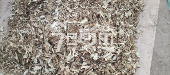 岷县药材市场售价45.5元/kg，给价44.5元/kg的当归全归片