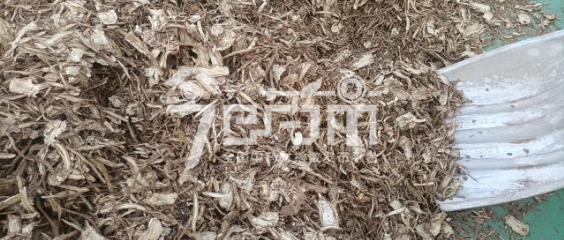 岷县药材市场41/kg成交的当归全归片(干落)