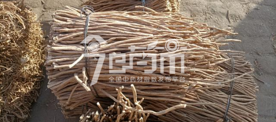 岷县药材市场16元/kg成交的黄芪股子