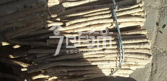 岷县药材市场34元/kg成交的黄芪节子