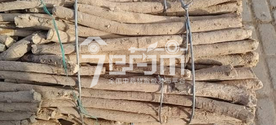 岷县药材市场44元/kg成交的黄芪节子