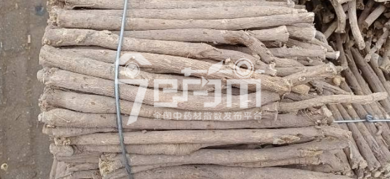 岷县药材市场45元/kg成交的黄芪节子