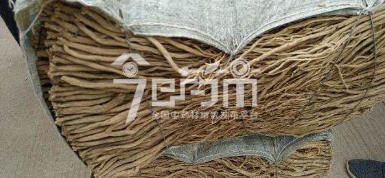 渭水源药材市场44元/kg成交的党参小中条