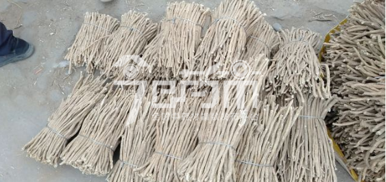 岷县药材市场20元/kg成交的黄芪股子