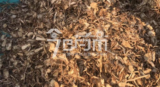 岷县药材市场给价41元/kg的当归全归片