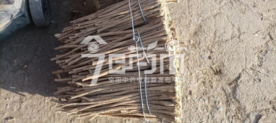 岷县药材市场23元/kg成交的黄芪股子