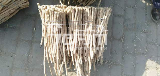 岷县药材市场30元/kg成交的黄芪节子