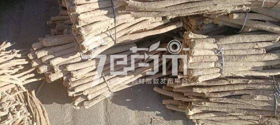 岷县药材市场48元/kg成交的黄芪节子
