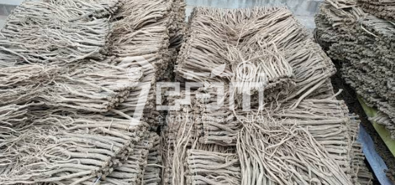 渭水源药材市场48元/kg成交的党参中条