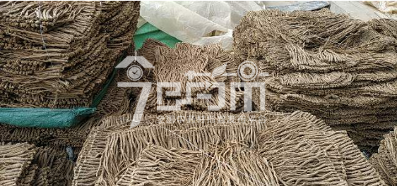 渭水源药材市场50元/kg成交的党参中统