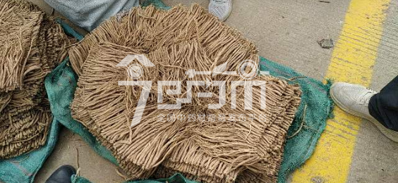 渭水源药材市场48元/kg成交的党参小条