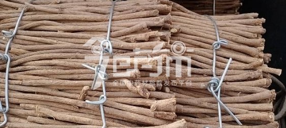 岷县药材市场25元/kg成交的黄芪小节子