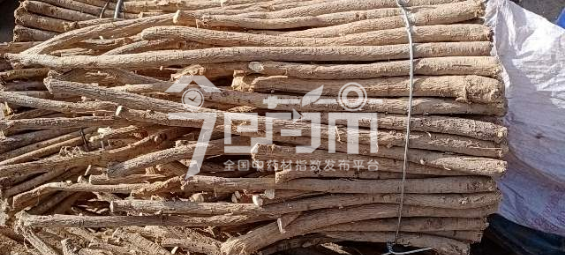 岷县药材市场38元/kg成交的黄芪节子