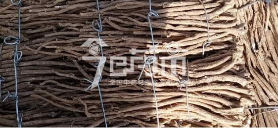 岷县药材市场18元/kg成交的黄芪股子
