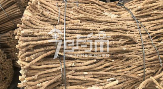 岷县药材市场18元/kg成交的黄芪股子